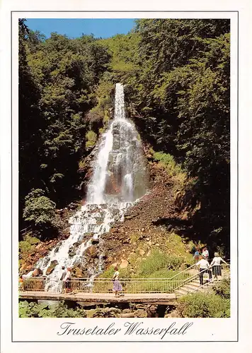 Der Wasserfall im Trusetal ngl 158.131