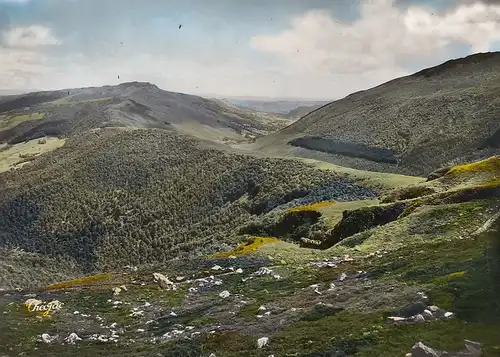 Cantal, Contrefort du Puy Mary ngl E0122