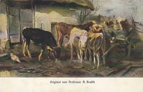 Prof. A.BRAITH Kühe vor dem Stall gl1911 E0998