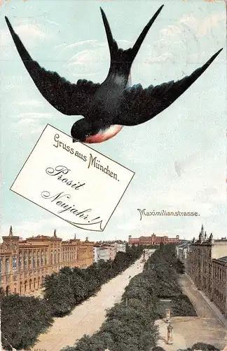München Maxililianstrasse Schwalbe bringt Neujahrsgrüße gl1906 163.004