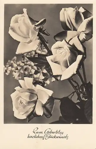 Geburtstag-Wünsche mit Rosen ngl E1058