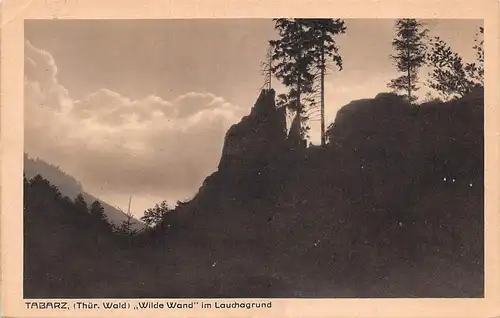 Tabarz Thür. Wald "Wilde Wand" im Lauchagrund gl1927 158.315