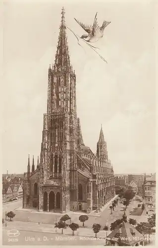 Ulm a.D. Münster und Spatz ngl E1247