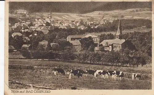 Blick auf Bad Driburg gl1930 E0202