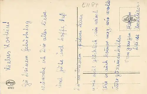 Ein Zweig weißer Flieder ngl E1184