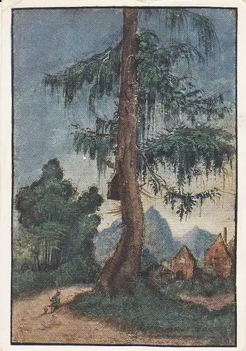 ALBRECHT ALTDORFER Landschaft mit der Fichte ngl E1494