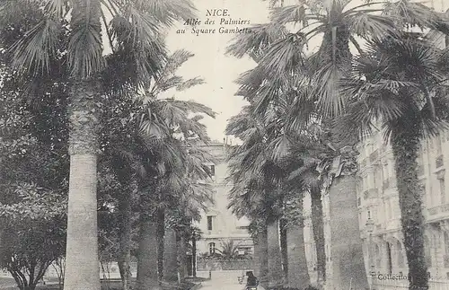 Nice, Allée des Palmiers au Sqzare Gambetta gl1913 E0455