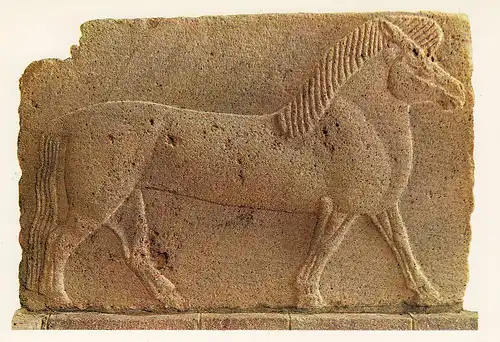 Pferde-Relief - Museum Ankara ngl E0330