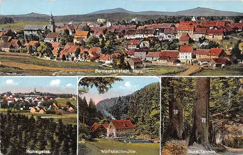 Benneckenstein (Harz) Hohegeiss Wolfsbachmühle Dicke Tannen Panorama ngl 158.748