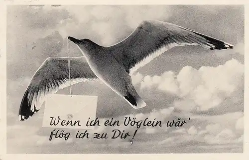 Silbermöve im Flug gl1960 E1368