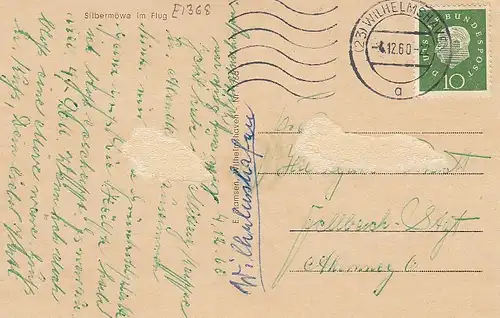 Silbermöve im Flug gl1960 E1368