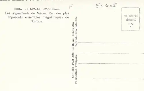 Carnac (Bret.) Les alignements du Ménec ngl E0605