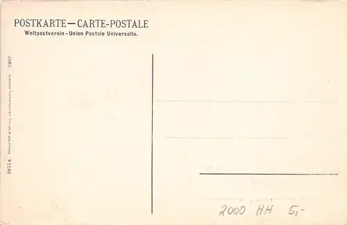 Hamburg Möven auf der Alster ngl 161.852