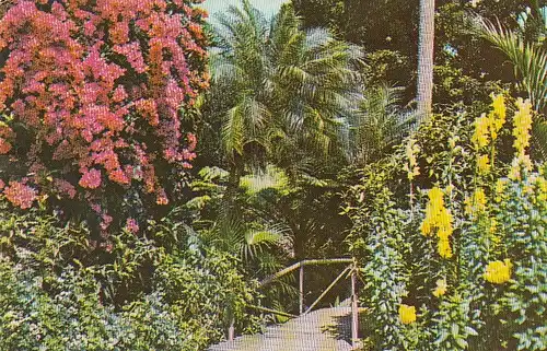 Part of Sunken Garden, Florida ngl E2064