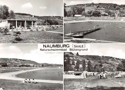 Naumburg (Saale) Naturschwimmbad Blütengrund ngl 158.842