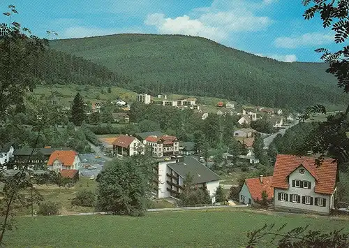 Enzklösterle, Panorama ngl E2918