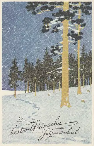 Neujahr-Wünsche mit verschneitem Wald gl1935 E0486