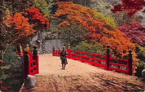 Japan Meiji no Mori Minō - Partie im Park mit Kind auf roter Brücke ngl 160.341