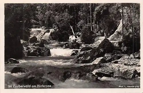 Im Zauberwald am Hintersee gl1934 159.208