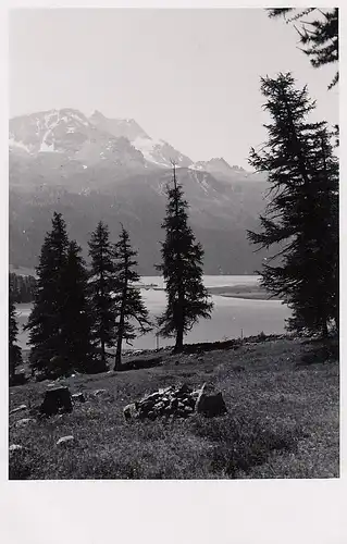 Albanelle, Blick zum Corratsch ngl E0960