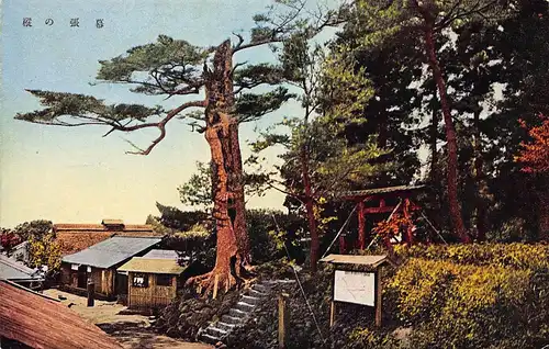 Japan Kamiide - Makuhari no Momi ngl 160.637