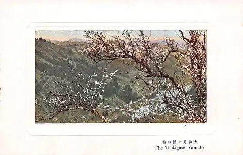 Japan Yamato - The Tsukigase ngl 160.389