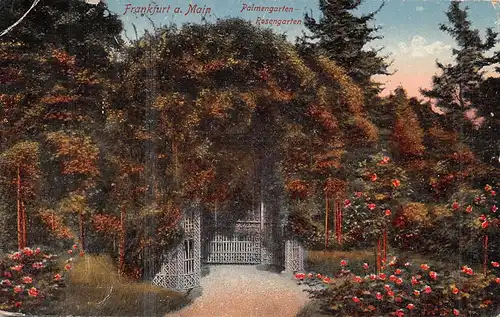 Frankfurt a.M. Palmengarten Rosengarten gl1924 159.616