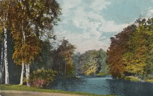 Blick in einen Park - Herbstlaub gl1920 E0791