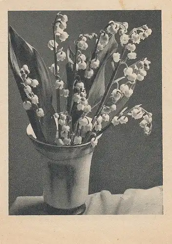 Maiglöckchen-Vase ngl E1170