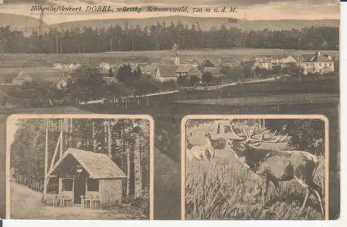 Dobel - Panorama, Waldhütte, röhrender Hirsch gl1921 225.434