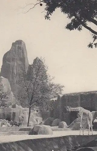 Paris. Parc Zoologique du Bois de Vincennes ngl E0923