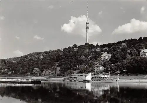 Dresden-Wachwitz MS Wilhelm Pieck am Fernsehturm ngl 158.965