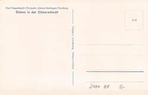 Hamburg Carl Hagenbeck's Tierpark Löwen in der Löwenschlucht ngl 161.844