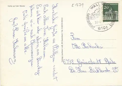 Kühe auf der Weide gl1970? E1379