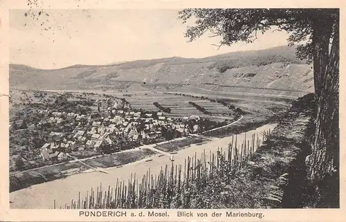 Pünderich a.d. Mosel Blick von der Marienburg gl1924 164.702