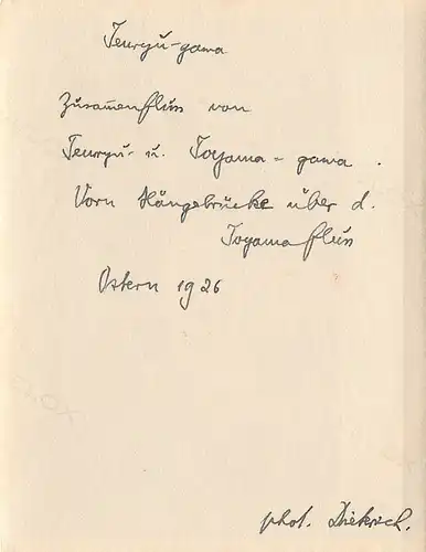 Japan Zusammenfluß Tenryugawa und Toyamagawa mit Hängebrücke 160.028