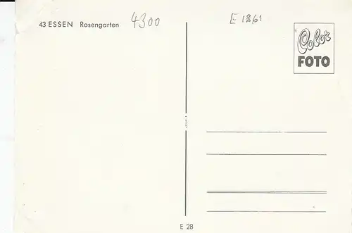 Essen Grugapark Rosengarten ngl E1861