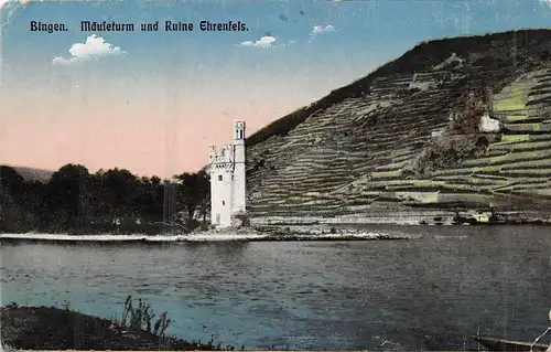 Bingen - Mäuseturm und Ruine Ehrenfels ngl 159.596