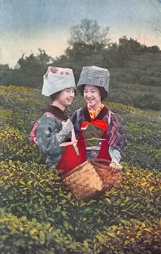 Japan Zwei lachende Japanerinnen bei der Ernte ngl 160.254