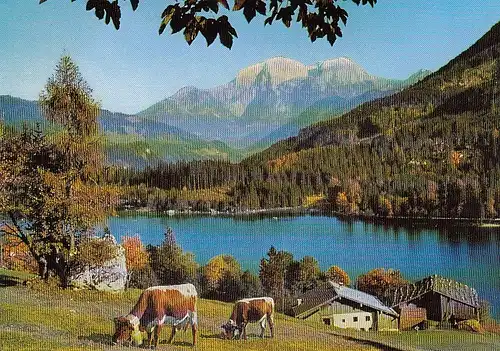 Hintersee bei Ramsau mit Kehlstein, Göll und Brett ngl E2985