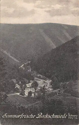 Schwarzburg Sommerfrische Bockschmiede bei Schwarzburg gl1926 162.544