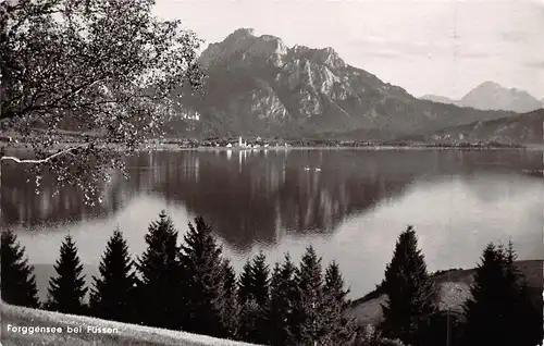 Forggensee bei Füssen gl1956 162.742