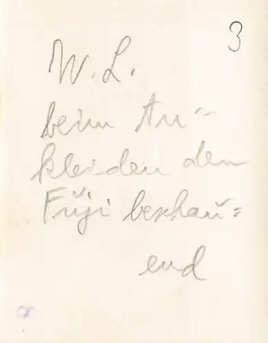 Japan Partie mit Japaner 160.135