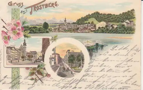 Trostberg LITHO Buchdruckerei, Pfaubräu, Panorama gl1902 227.746