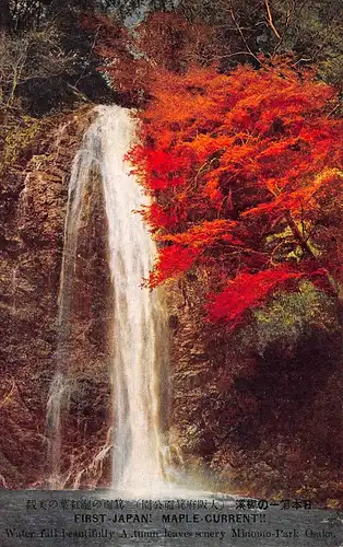 Japan Osaka Minomo-Park Wasserfall mit herbstlich rotem Ahornbaum ngl 160.210