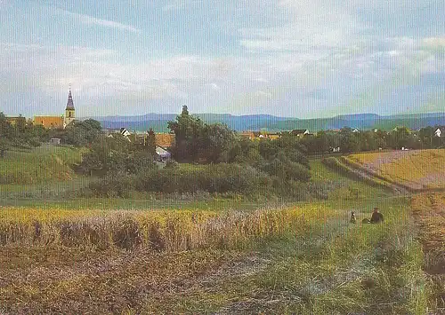 Rottenburg am Neckar, Wendelsheim, Panorama ngl E3199