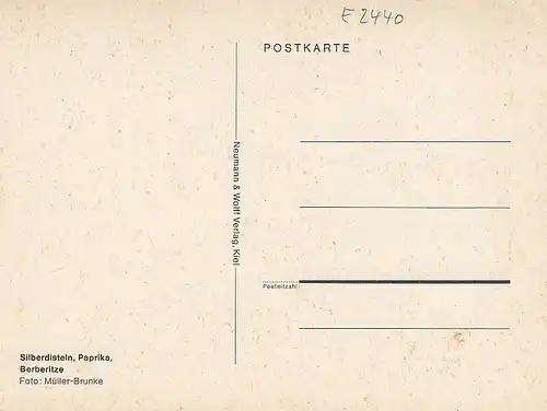 Silberdisteln, Paprika und Berberitze ngl E2440