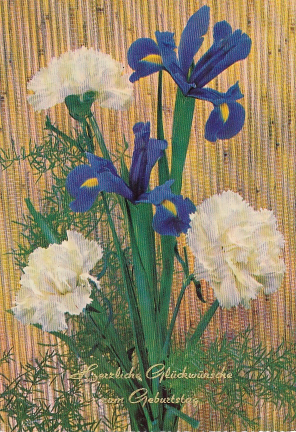 Geburtstag Wünsche mit Nelken und.. | Ansichtskarten günstig Geburtstag Wünsche mit Nelken und.. | Ansichtskarten günstig