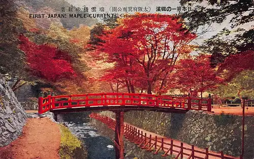 Japan Meiji no Mori Minō - Partie im Park mit roter Brücke ngl 160.351