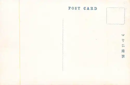 Japan Japanische Frauen bei der Teeernte ngl 160.354